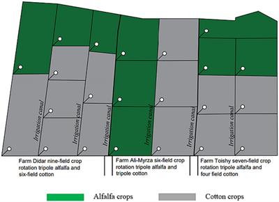 Agronomic and reclamation strategies to enhance soil fertility, productivity and water accessibility